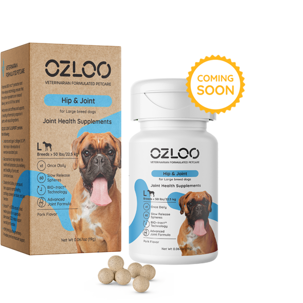 OZLOO-large-hip-joint