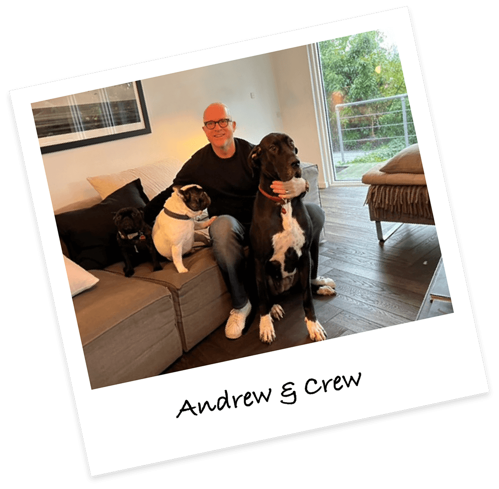 AndrewAndDogs