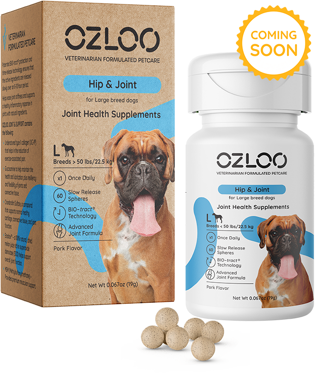 OZLOO-Large-Hip-Joint-1
