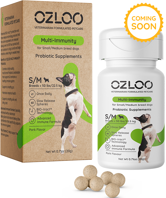 OZLOO-small-med-multi-immunity-1